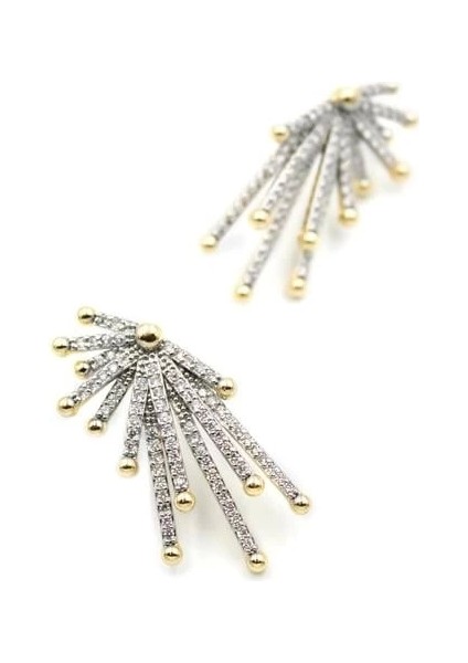 Taşlı Küpe - Altın fiyatları