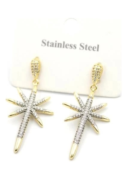 Kutup Yıldızı Küpe - Altın fiyatları