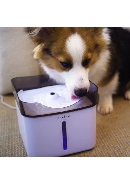 Aclıum Kedi Köpek Su Sebili 187X187X164 mm fiyatları