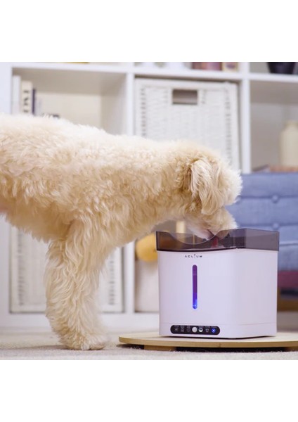 Aclıum Sensörlü Köpek Su Sebili fiyatları