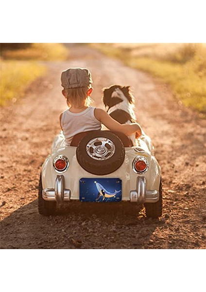 Inç x 4 Inç 10'lu Paket Süblimasyon Plaka Boşlukları, Isı Transferi Kendin Yap Resmi, Alüminyum Plaka Etiketi (Yurt Dışından) modelleri