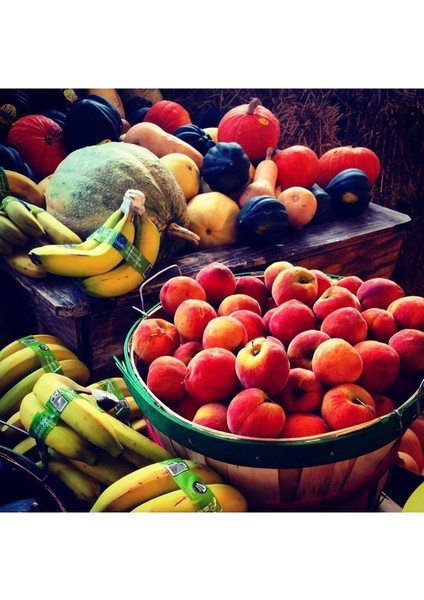 Ekmekçioğulları Çinko Sülfat Heptahidrat 25 kg