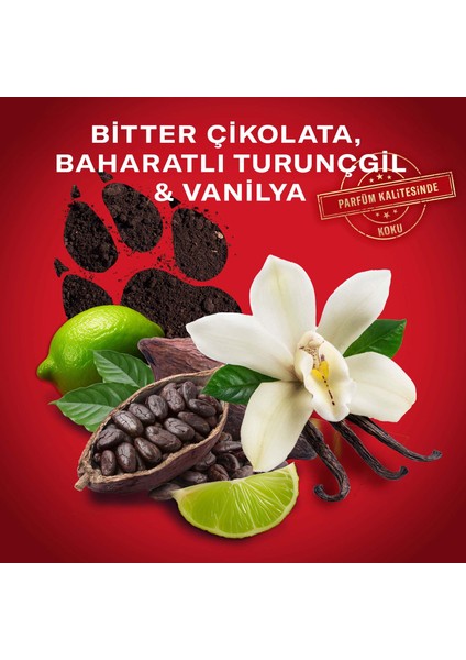 Night Panther Erkek Için Stick Deodorant 50 ml indirimleri