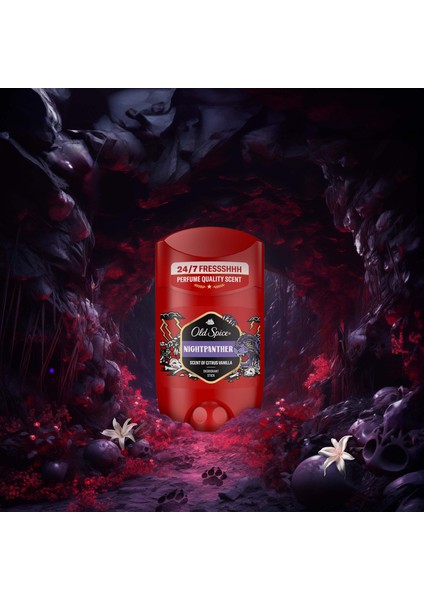 Night Panther Erkek Için Stick Deodorant 50 ml