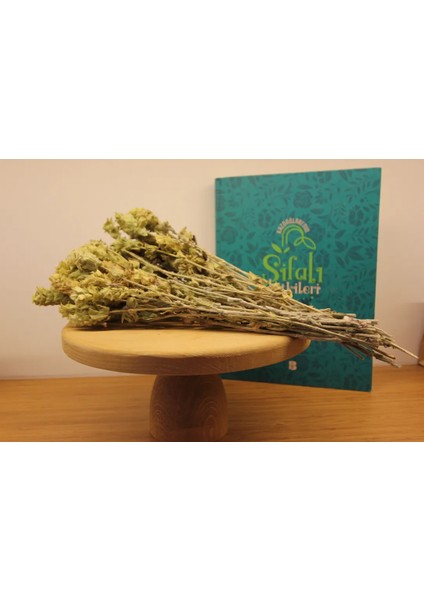 Anamur Adaçayı (Demet)