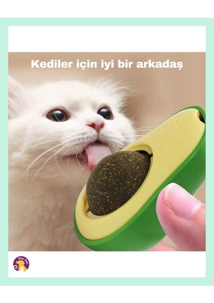 Avokado Catnip Avokado Kedi Otu Topu Avokado Kedi Nanesi Oyuncağı fiyatları