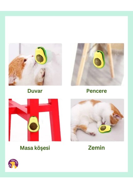 Avokado Catnip Avokado Kedi Otu Topu Avokado Kedi Nanesi Oyuncağı fırsatları