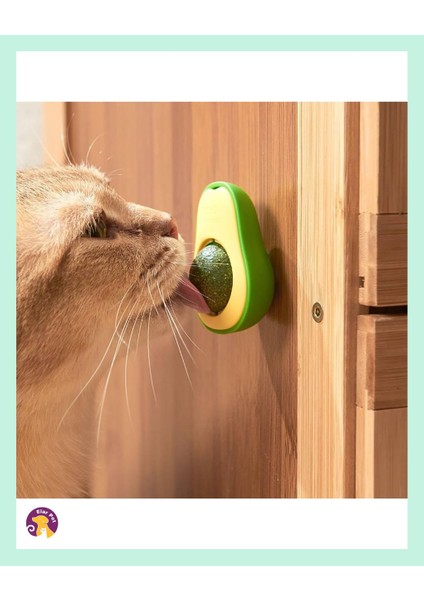 Avokado Catnip Avokado Kedi Otu Topu Avokado Kedi Nanesi Oyuncağı