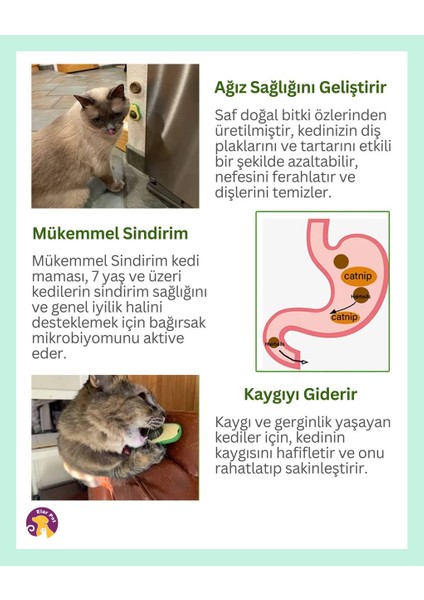 Avokado Catnip Avokado Kedi Otu Topu Avokado Kedi Nanesi Oyuncağı
