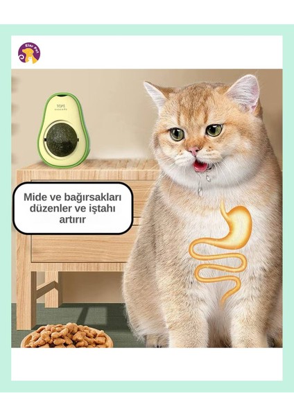 Avokado Catnip Avokado Kedi Otu Topu Avokado Kedi Nanesi Oyuncağı