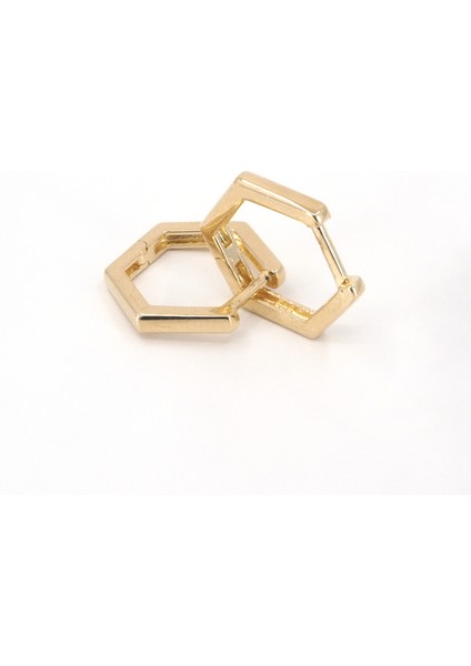 14 Ayar Altıgen Küpe