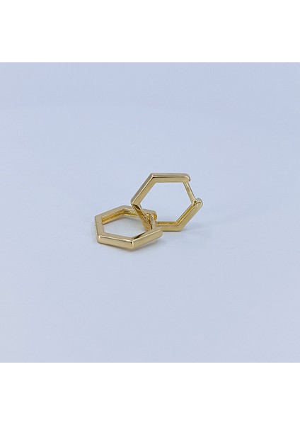 14 Ayar Altıgen Küpe fiyatları