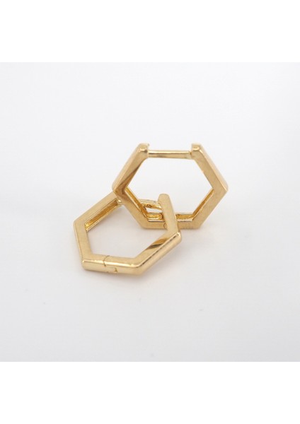 14 Ayar Altıgen Küpe modelleri