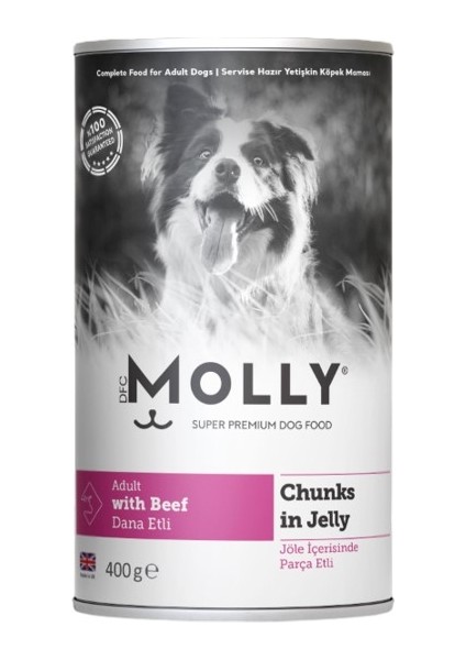 Biftekli Jöleli Yetişkin Köpek Konservesi 400GR - Lezzetli ve Besleyici Tam Mama