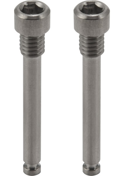 Bisiklet Disk Fren Balatası Için M4 Titanyum Cıvatalar Dişli Pim Ekleme Vidaları Xt R Xt Hidrolik Disk Kaliperi-Titanyum (Yurt Dışından)