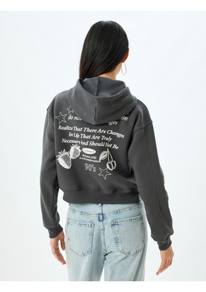 Crop Oversize Sweatshirt Kapüşonlu Arkası Baskılı Şardonlu fırsatları