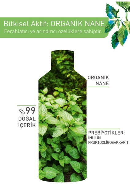 Karma-Yağlı-Akne/Sivilce Eğilimli Cilt, Prebiyotik Micellar Makyaj Temizleme Suyu-Pure Menthe-400ml modelleri