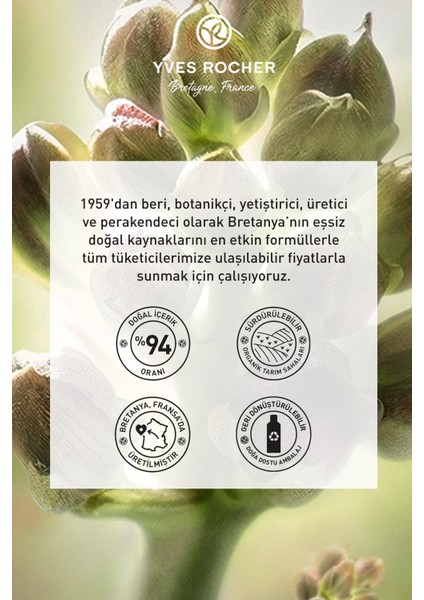 Yaşlanma Karşıtı Bitkisel Kök Hücre Bakımı Anti-age Global - Hyaluronik Asit -kuru Cilt Gündüz Kremi