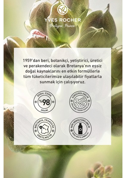 Yaşlanma Karşıtı Bitkisel Kök Hücre Bakımı Anti-age Global - Niasinamid&hyaluronik Asit -gece Serumu