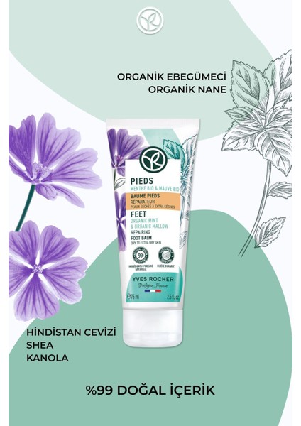 Ayak Bakım Kremi - Onarıcı ve Yumuşatıcı-75 ml-19280 fırsatları