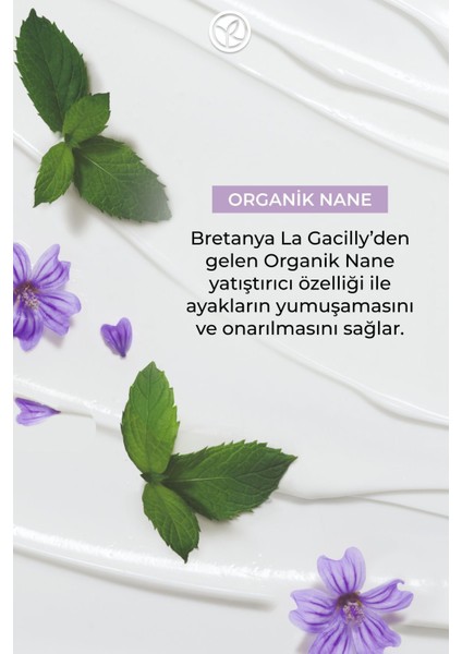 Ayak Bakım Kremi - Onarıcı ve Yumuşatıcı-75 ml-19280