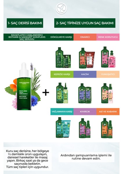Botanik Sakkarit Kompleks Saç Serumu / Tüm Saçlar / Equilibre - Vegan -50ml