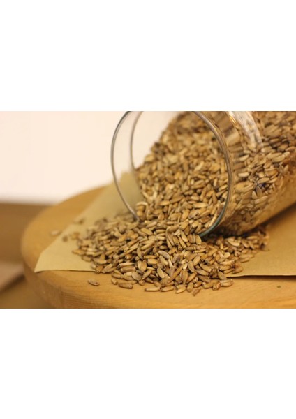 Devedikeni (Meryemana Dikeni) Tohumu 100GR fiyatları