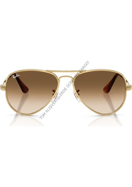 Rayban RB3925 001/51 58-145 Unisex Günes Gözlük