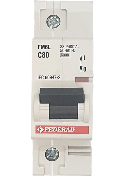 1X80A 6ka C Sigorta FM6L