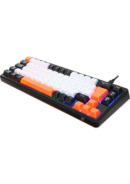 Emachines EAK810 Oyuncu Klavyesi Rainbow Aydınlatma Mini Klavye Türkçe Q Gaming Klavye