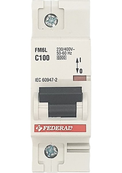 1X100A 6ka C Sigorta FM6L Federal