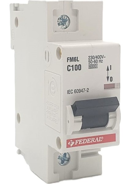 1X100A 6ka C Sigorta FM6L Federal fiyatları