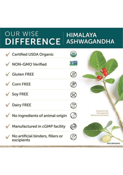 Organıc Asva Ganda 670MG 60 Tablet.abd MENŞEI.4148 fırsatları