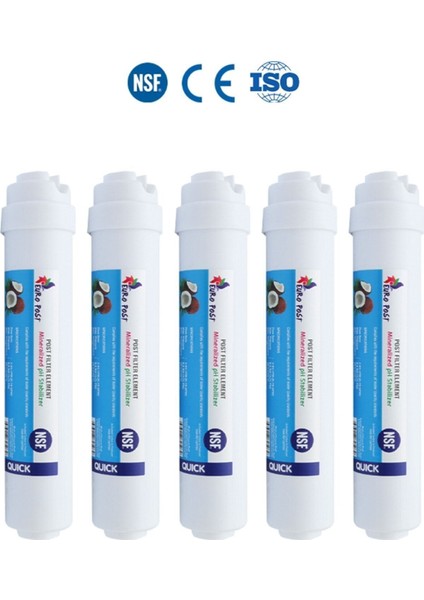 5 Adet Nsf Onaylı Su Arıtma 1840 Mesh Tatlandırıcı Son Karbon Filtre