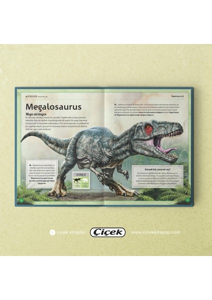 Muhteşem Dinozorlar Kitabı -Dev Boy Bez Ciltli modelleri