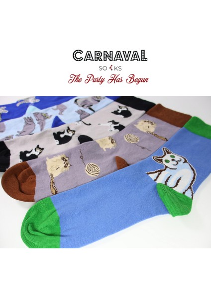 Kedi Desenli Renkli 5'li Unisex Çorap Kutusu fırsatları