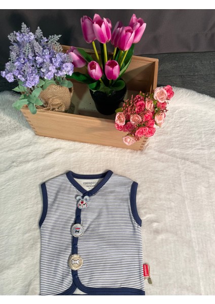 Lacivert Çizigiliyelek fiyatları