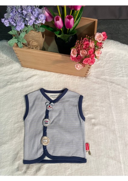 Lacivert Çizigiliyelek fırsatları