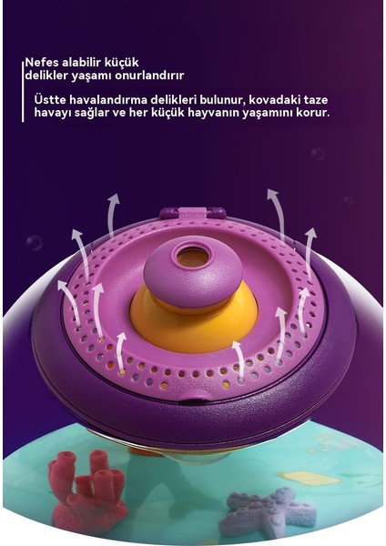 Çok Fonksiyonlu Böcek Gözlemi Kovası, Elton Çok Fonksiyonlu Canlı Organizma Kovası, Deney ve Bilimsel Gözlem (Yurt Dışından) fırsatları