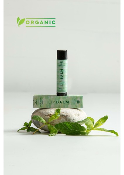 Nane ve Zeytinyağlı Organik Nemlendirici Dudak Balmı 5 gr