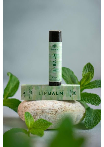 Nane ve Zeytinyağlı Organik Nemlendirici Dudak Balmı 5 gr fiyatları