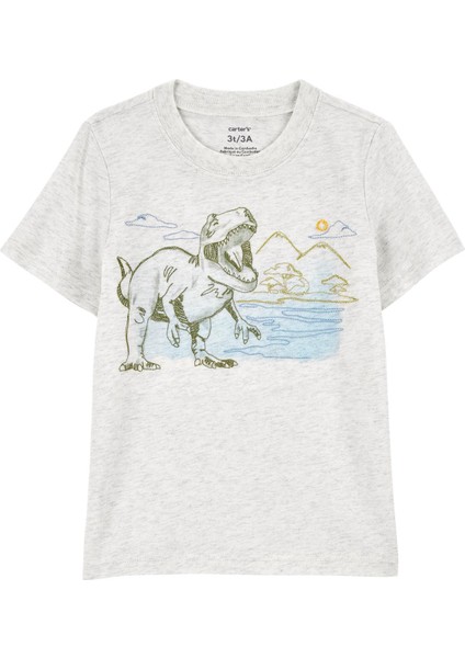 Küçük Erkek Çocuk Tshirt