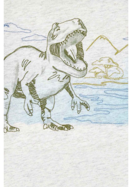 Küçük Erkek Çocuk Tshirt fiyatları