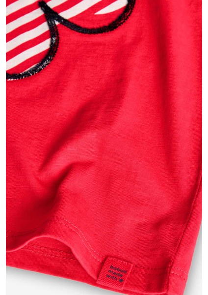 Kız Çocuk Tişört indirimleri