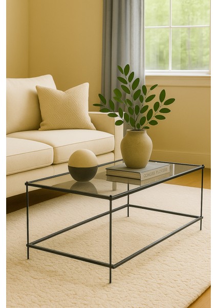 Brad Metal Camlı Demonte Orta Sehpa Siyah Şeffaf