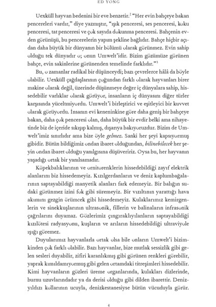 Muazzam Dünya: Beş Duyunun Ötesine Yolculuk - Ed Yong