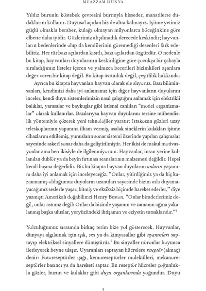 Muazzam Dünya: Beş Duyunun Ötesine Yolculuk - Ed Yong