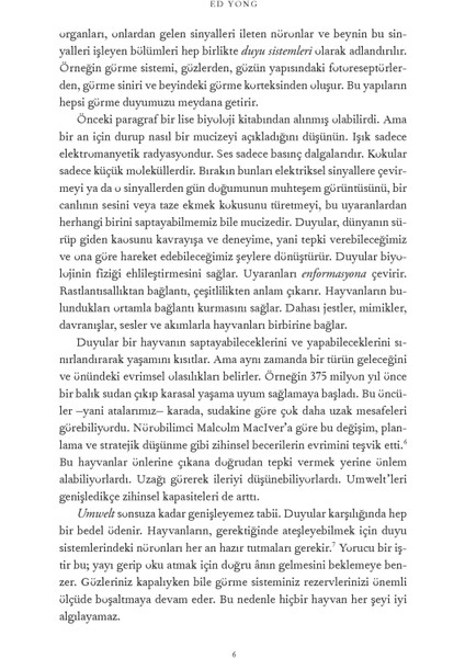 Muazzam Dünya: Beş Duyunun Ötesine Yolculuk - Ed Yong