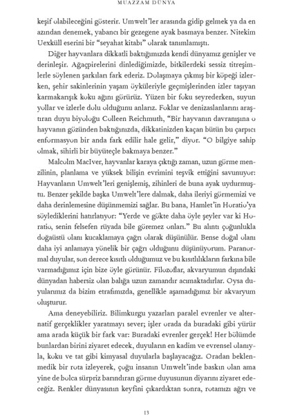 Muazzam Dünya: Beş Duyunun Ötesine Yolculuk - Ed Yong