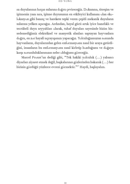 Muazzam Dünya: Beş Duyunun Ötesine Yolculuk - Ed Yong